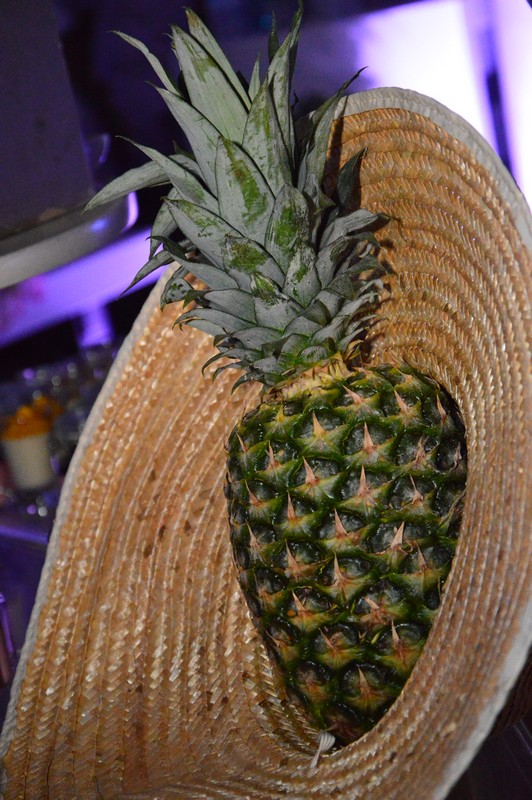 Amethyste Summer Party